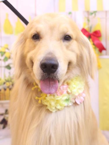 20240416マロンくん